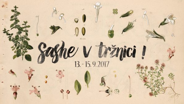 Sashe v Tržnici