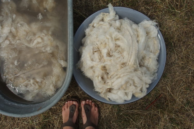 wool washing